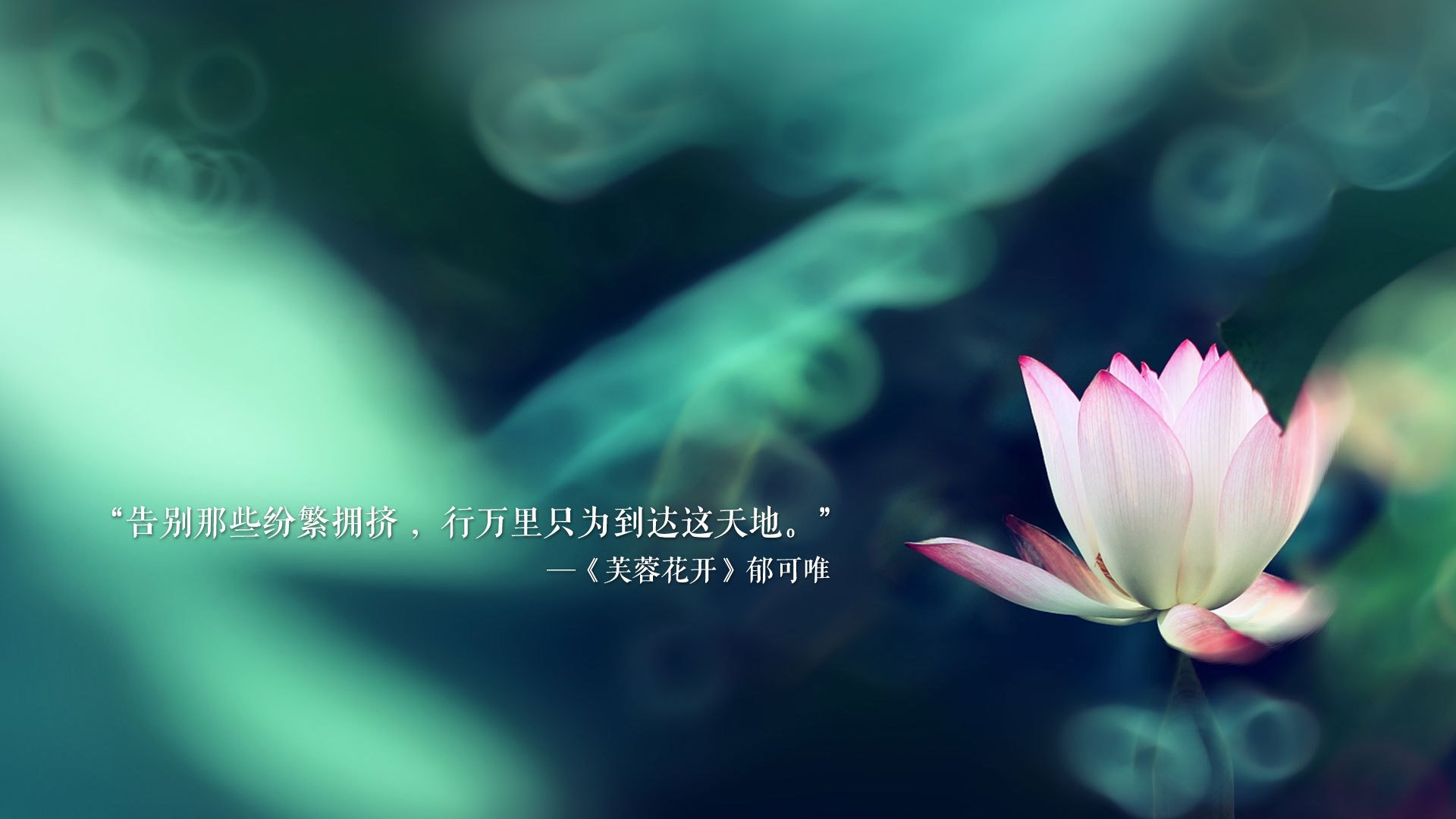 决战加时,步行者布克的凤凰涅槃