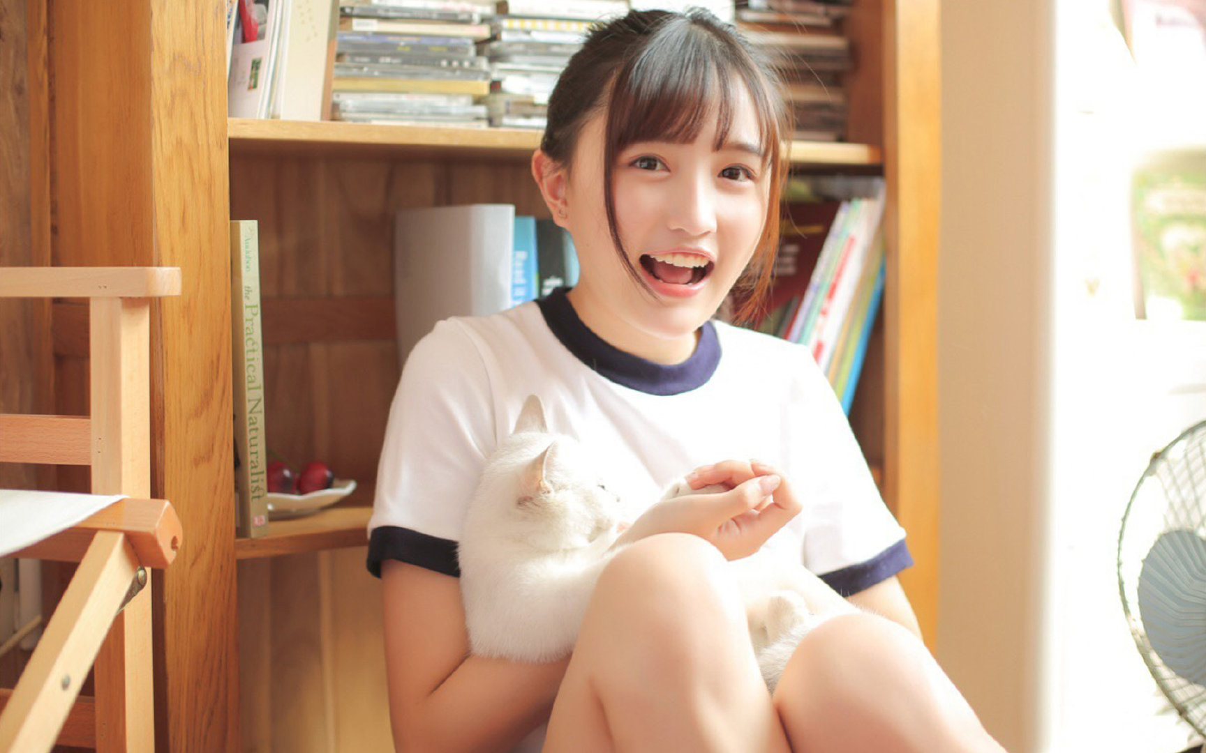 枫叶与沙漠,当世界杯赛场成为文明冲突的镜像—记伊布神祇降临美加之夜