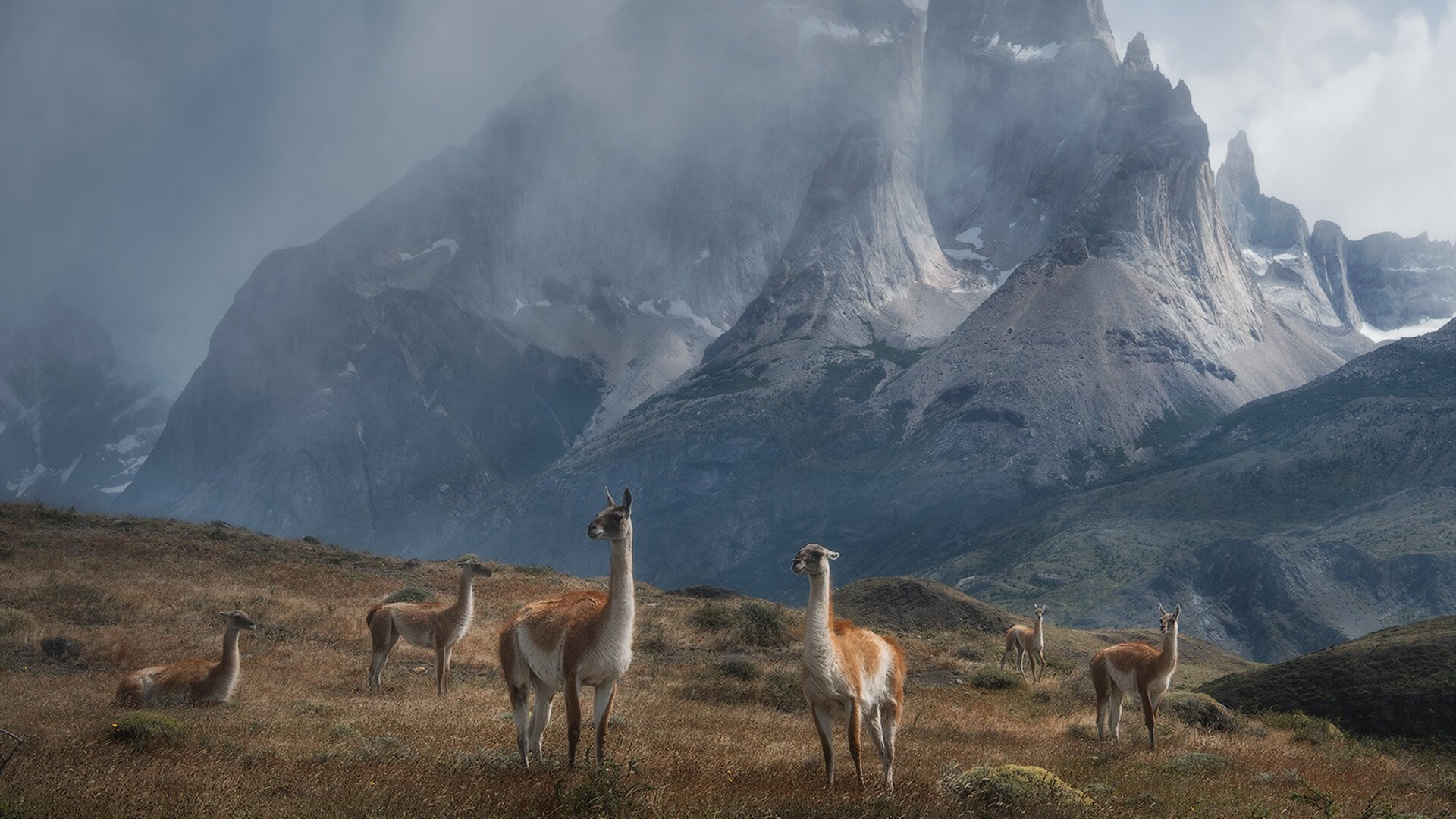 迟来破茧,方见极光,保罗的终章序曲