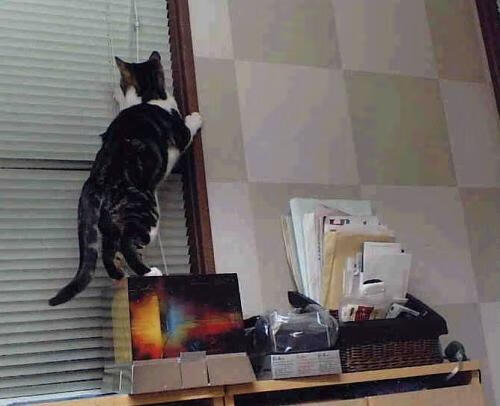 锁死班凯罗却目送胜利溜走,39岁詹姆斯防出赛季代表作,却暴露湖人致命缺陷