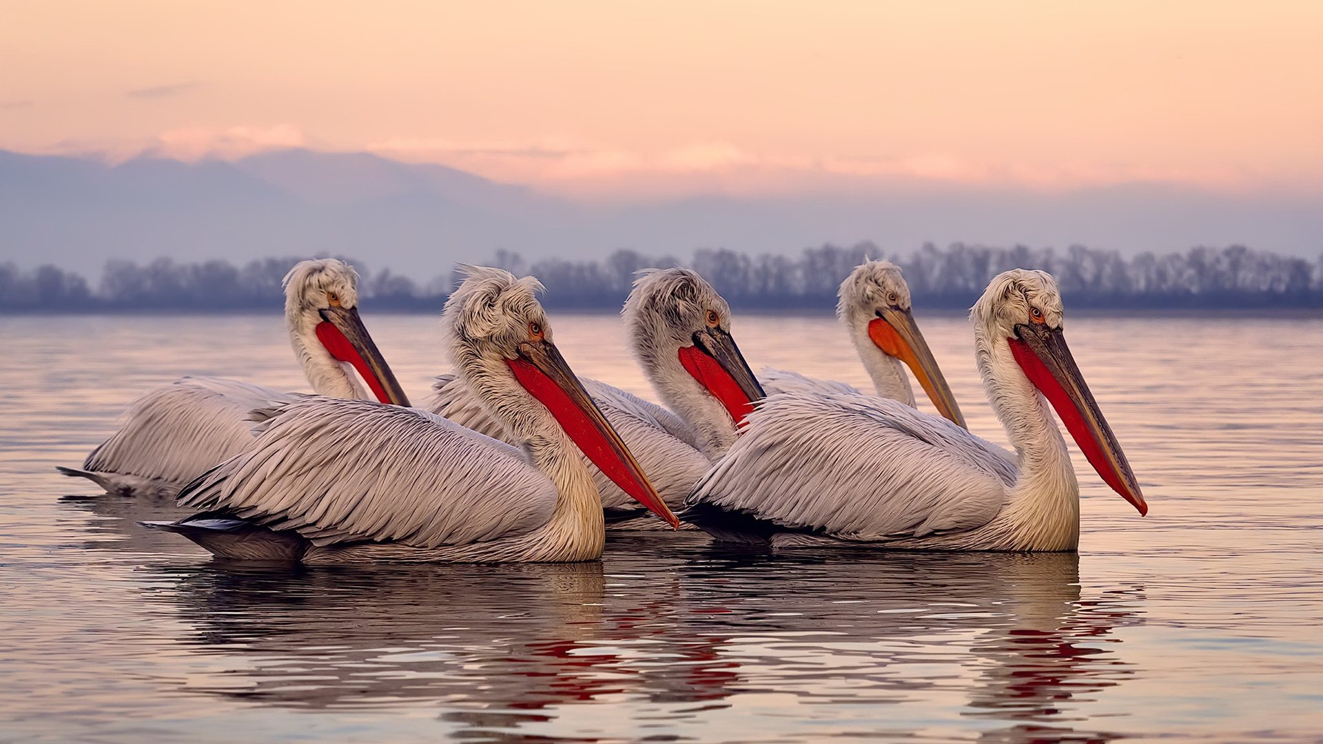 0.8秒涅槃,爱德华兹一投改写季后赛历史