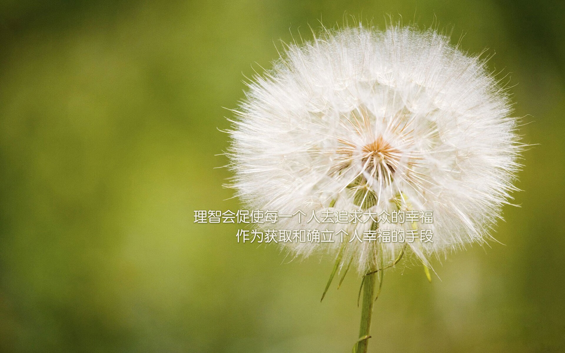 钢铁防线绞杀黑星，基米希的手术刀与智慧锁—解析战术博弈中的关键胜负手