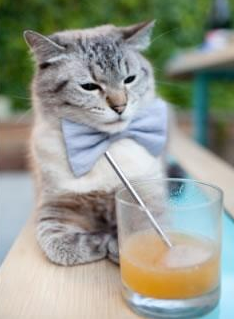 没有欢呼的杀手，霍勒迪为何在寂静中接管了最关键的五秒