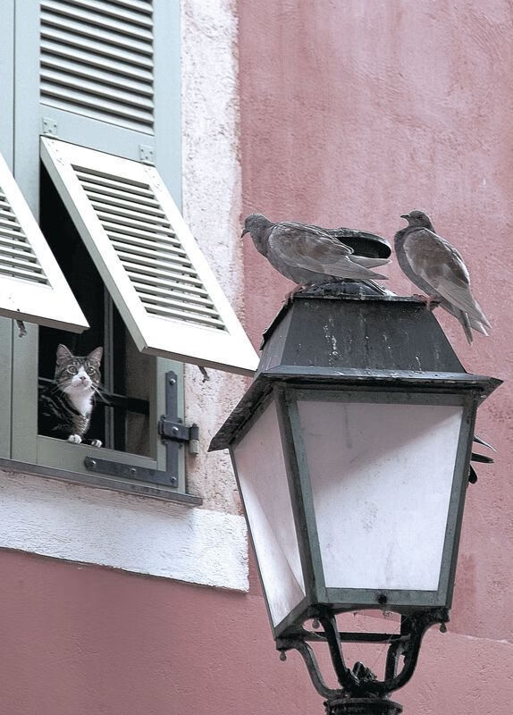 开云体育-单节风暴，尼克斯化身利拉德时间，新疆队防线五分钟内崩溃