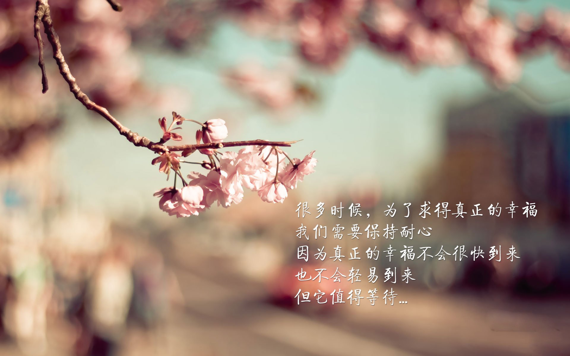 体育界的平行宇宙，加纳狂胜阿根廷与富安健洋的NBA总决赛统治