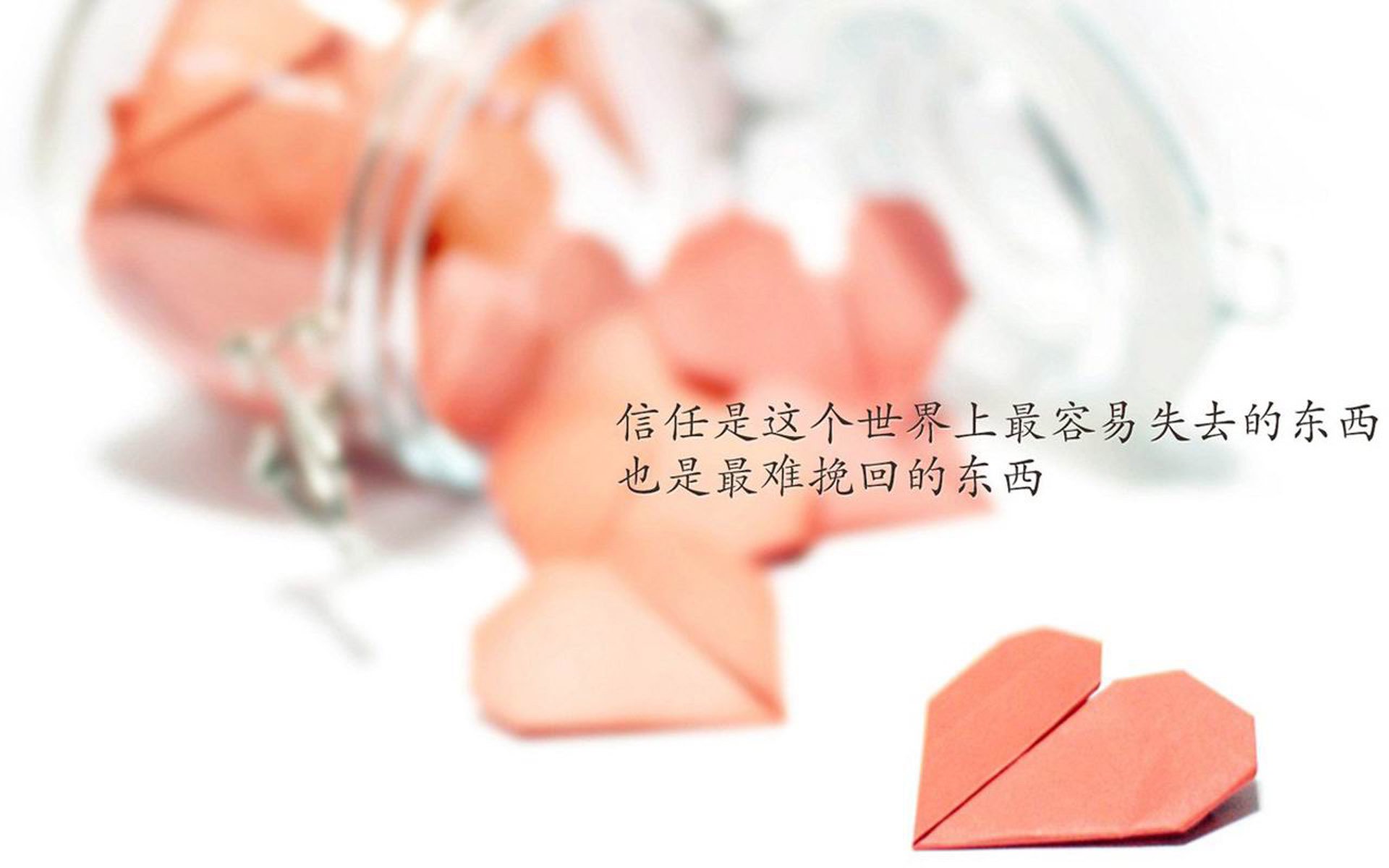 德布劳内，伊朗的归化奇迹—2026世界杯A组，唯有一人改变历史