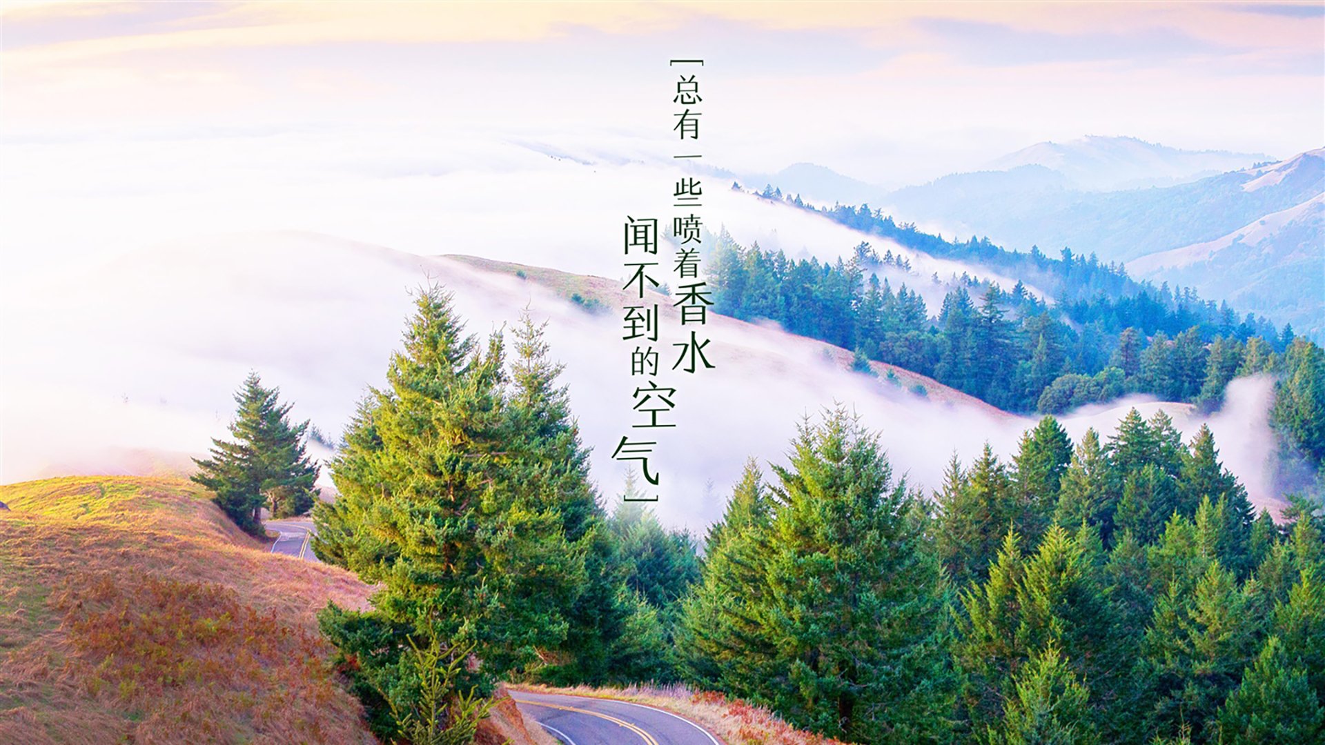 这是一篇为您定制的文章,围绕唯一性的核心要求,结合您提供的关键词进行深度创作