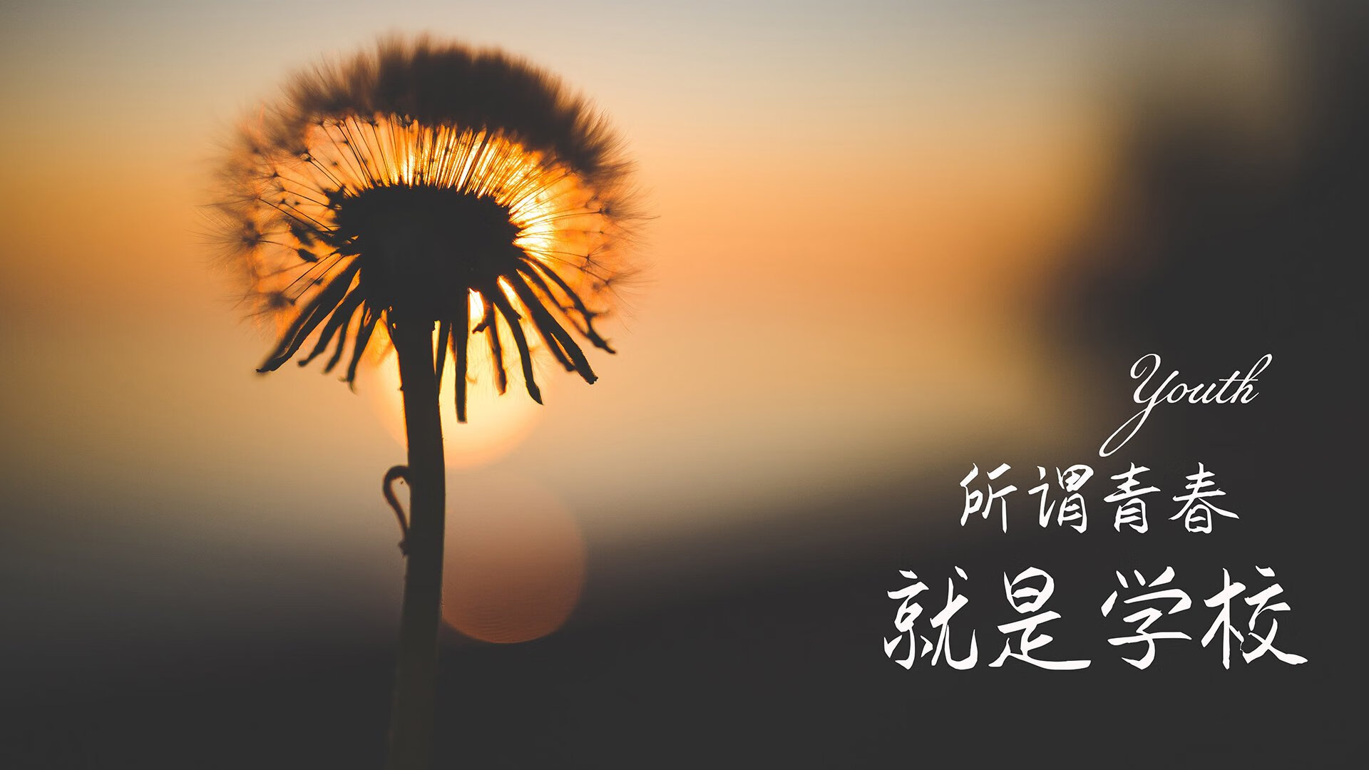攻守交响诗，当斗魂烈焰遇上传控流水—2026世界杯B组葡萄牙力克日本，福登铸就王者时刻